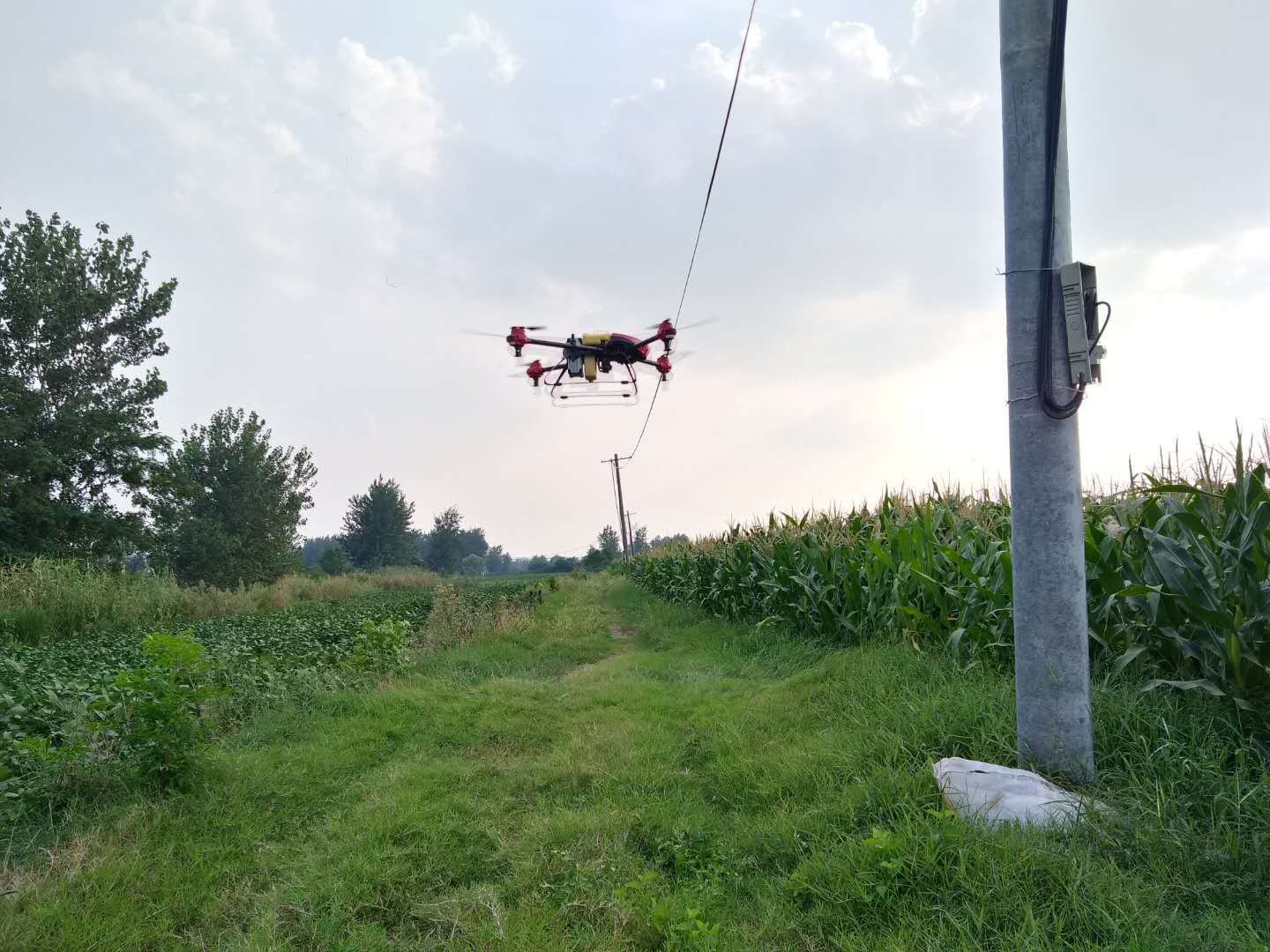 無人機助推農業數字化